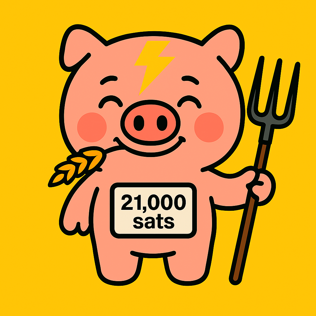 Lightning Piggy v2 Operating System Update