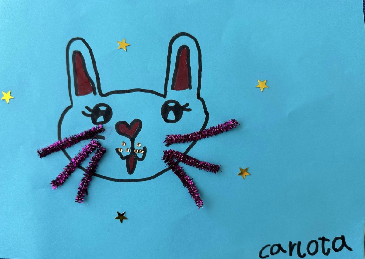 Software Update V4.3.x