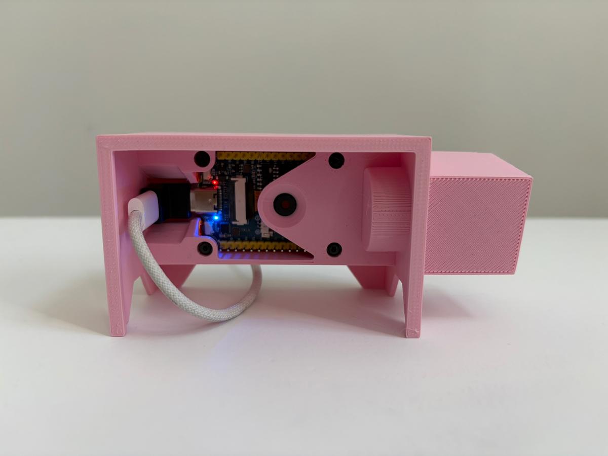 p1 - Genesis Piggy - image 4