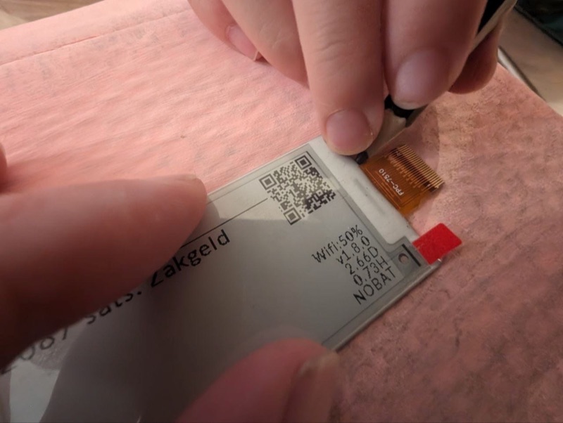 LightningPiggy in the wild 61