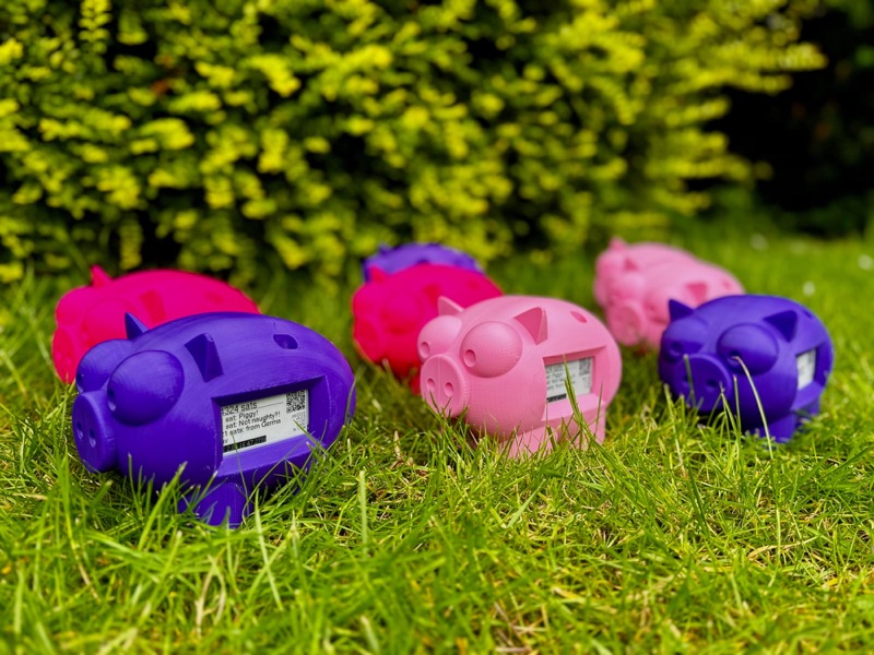 LightningPiggy in the wild 34