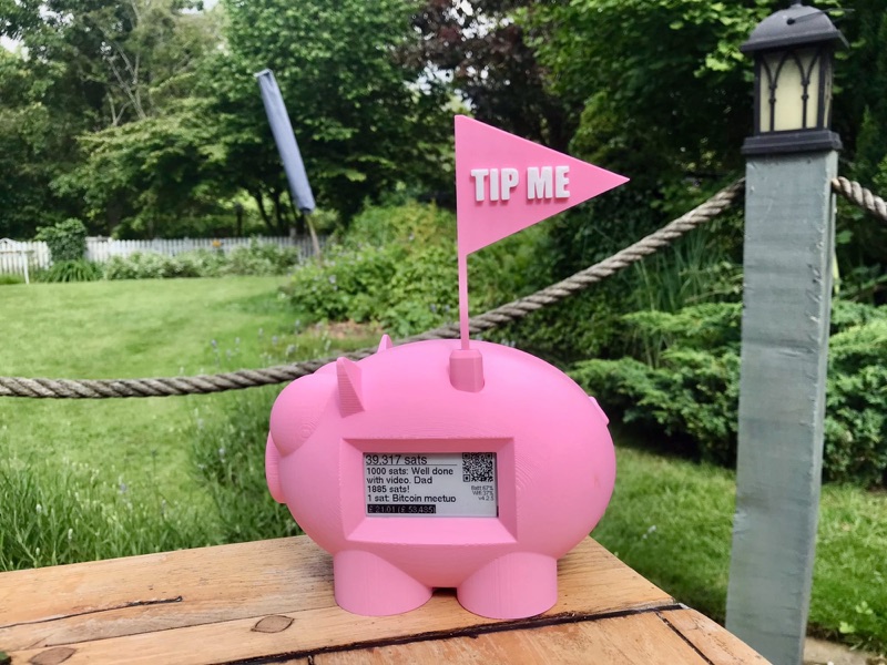 LightningPiggy in the wild 24