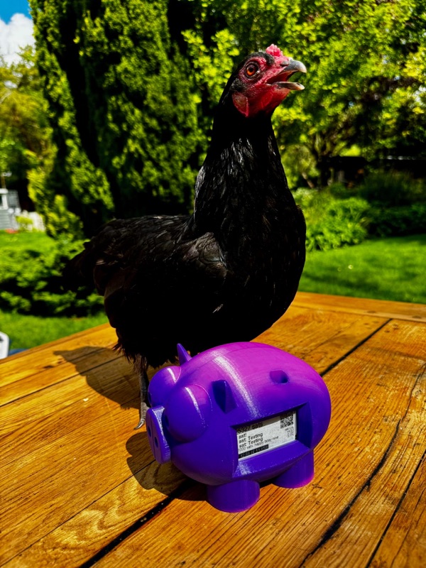 LightningPiggy in the wild 23