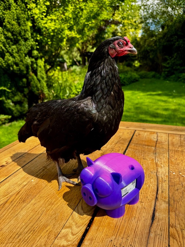 LightningPiggy in the wild 22