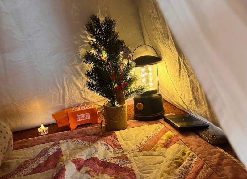 LightningPiggy in the wild 8